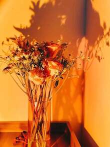 1 Pc Pink Projection Light For Indoor Party Decorations, Ambiance Lighting And Night Lighting - Pink - View 6