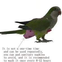 Pet Bird Diaper Urine Guard, Flight Control Clothes For Parrot, Mynah & Sun Conure With Flight Training Rope - Multicolor - View 2