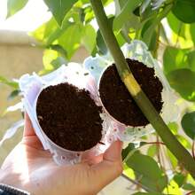10入組植物根生長盒,可重複使用不會損壞的高壓育苗球植物根嫁接裝置盒,用於植物快速繁殖之空氣層積極條件種苗 - 無色 - 查看 1
