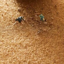 1入45*75cm字母圖形防滑門墊,現代化聚酯室內外地墊,適用於家居 - home - 查看 6