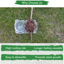 10入組植物根生長盒,可重複使用不會損壞的高壓育苗球植物根嫁接裝置盒,用於植物快速繁殖之空氣層積極條件種苗 - 無色 - 查看 3
