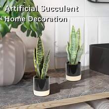 1 Miếng Nhiệt đới Sọc hổ Cây trồng trong chậu , Hoàn hảo Đối với Chinese Lễ hội mùa Xuân , Ngày Saint Patrick , Cây nhân tạo , PE Chất liệu , Màu xanh lá , Tuyệt vời Như Bàn Hoặc Phòng bếp Đồ trang trí , Cũng Thích hợp Đối với Trường học Ký túc xá , Văn phòng , Buổi tiệc , Lễ hội , Sinh nhật , Nhà  Lối vào , Khách sạn , Nhà hàng , Phòng khách , Phòng ngủ , Lễ cưới , Yến tiệc , Sân vườn Đồ trang trí , Màu xanh lá Trang trí - màu xanh lá - Xem 7