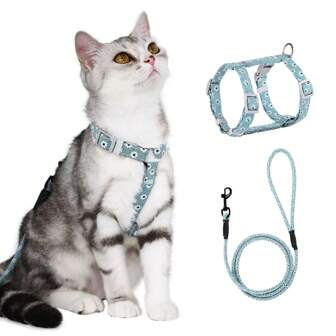 Pet Leashes