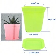 24 Packs 3 Inch Plastic Plant Pots,Seedling Nursery Pots With Saucers,Succulent Flower Planter Container For Garden,Room,Office,Balcony Decor,Multicolor