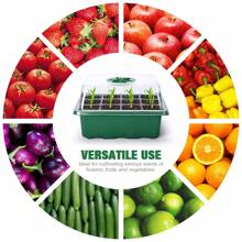 10 件种子入门套件幼苗入门托盘（每托盘 12 个单元）湿度可调植物发芽套件花园种子起始托盘带圆顶和底座以及植物标签手动工具套件 - 綠色 - 查看 6