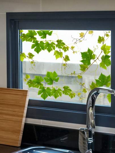 1 قطعة ملصق نافذة لاصق ذاتي بتصميم أوراق خضراء للديكور المنزلي، ملصق جداري قابل للإزالة، ملصقات، ديكور جداري، ديكور فينيل للديكورات المنزلية، عناصر ديكور الربيع لتنشيط منزلك، ملصقات ديكور الأعياد هدايا عيد الميلاد والتخرج وديكور المطبخ