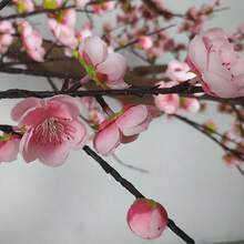 1根人工桃花樹枝配5個分叉,家居裝飾,花園裝飾,樹裝飾,婚禮裝飾 - 粉色 - 查看 3