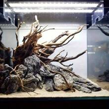 1根水族箱漂流木,自然樹幹漂流木,水族箱自然樹幹漂流木,魚缸造景裝飾,聖誕禮物 - 米色 - 查看 3