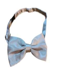 Men Bow Ties - Bạc - Xem 3