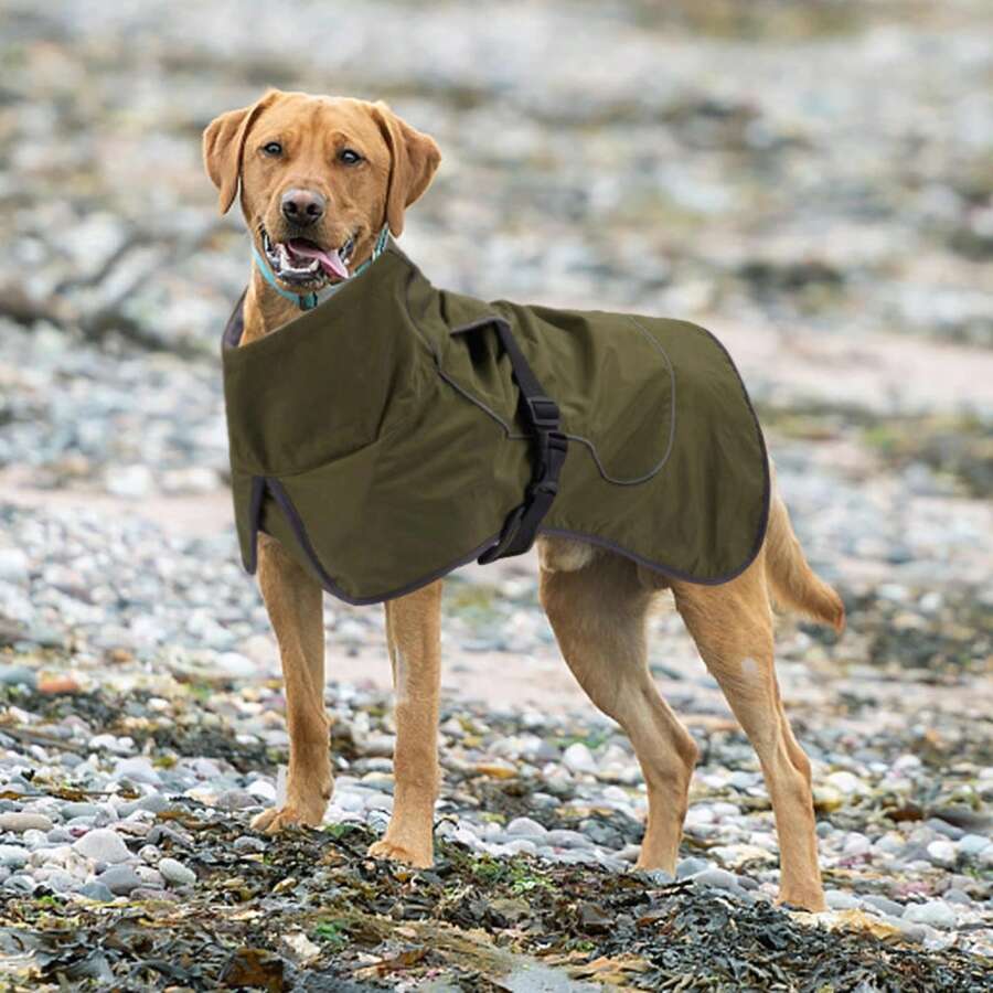 Impermeable para perro con estilo de capa y chaqueta - Negro - Ver 1