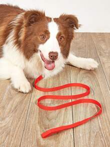 1pc Nylon-Style Dog Leash Suitable For Walking Small Dogs And Cats - Red - View 2