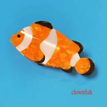 1 件裝可愛海洋動物爪髮夾,由醋酸材料製成,採用獨特的海洋動物風格設計,非常適合女孩日常、派對、戶外休閒髮型,也是可愛的禮物選擇 - 彩色 - 查看 14