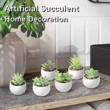 6 cây/bộ cây mọng nước nhân tạo mini, cây mọng nước xanh trong chậu gốm trắng và đen, làm bằng PE, cây mọng nước giả, đồ trang trí để bàn, đồ trang trí nhà cửa, đồ trang trí sân vườn, đồ trang trí trường học/văn phòng, quà tặng ngày lễ tình nhân, mùa xuân/hè, đồ trang trí tiệc/sự kiện/sinh nhật ngoài trời, đồ trang trí khách sạn/nhà hàng/phòng khách/phòng ngủ/đám cưới, đồ trang trí xanh, đồ trang trí quanh năm - trắng - Xem 3