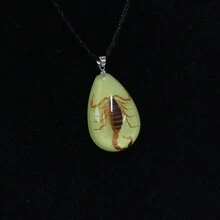 水晶樹脂天然昆蟲標本項鍊,蝎子和蜘蛛形狀的樹脂吊墜 - 蝎子2 - 查看 5