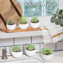 6 cây/bộ cây mọng nước nhân tạo mini, cây mọng nước xanh trong chậu gốm trắng và đen, làm bằng PE, cây mọng nước giả, đồ trang trí để bàn, đồ trang trí nhà cửa, đồ trang trí sân vườn, đồ trang trí trường học/văn phòng, quà tặng ngày lễ tình nhân, mùa xuân/hè, đồ trang trí tiệc/sự kiện/sinh nhật ngoài trời, đồ trang trí khách sạn/nhà hàng/phòng khách/phòng ngủ/đám cưới, đồ trang trí xanh, đồ trang trí quanh năm - trắng - Xem 6