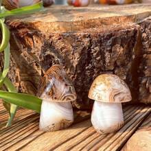 1入組用金屬線綁繞的天然玉髓石蘑菇,精雕細琢的微型景觀裝飾,玉髓石蘑菇家居裝飾品,水晶體內能量,靈性禮品,男女皆宜情人節禮物,水晶裝飾,大小約4-5.5公分,每一件都是獨一無二的手工製作,天然石材紋理會有所不同,隨機寄送 - 菇 - 查看 7