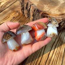 1入組用金屬線綁繞的天然玉髓石蘑菇,精雕細琢的微型景觀裝飾,玉髓石蘑菇家居裝飾品,水晶體內能量,靈性禮品,男女皆宜情人節禮物,水晶裝飾,大小約4-5.5公分,每一件都是獨一無二的手工製作,天然石材紋理會有所不同,隨機寄送 - 菇 - 查看 5