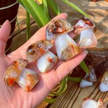 1入組用金屬線綁繞的天然玉髓石蘑菇,精雕細琢的微型景觀裝飾,玉髓石蘑菇家居裝飾品,水晶體內能量,靈性禮品,男女皆宜情人節禮物,水晶裝飾,大小約4-5.5公分,每一件都是獨一無二的手工製作,天然石材紋理會有所不同,隨機寄送 - 菇 - 查看 1