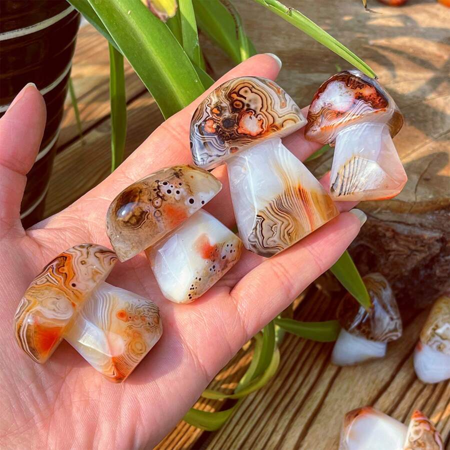 1入組用金屬線綁繞的天然玉髓石蘑菇,精雕細琢的微型景觀裝飾,玉髓石蘑菇家居裝飾品,水晶體內能量,靈性禮品,男女皆宜情人節禮物,水晶裝飾,大小約4-5.5公分,每一件都是獨一無二的手工製作,天然石材紋理會有所不同,隨機寄送 - 菇 - 查看 1