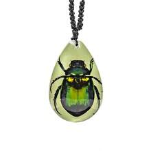 水晶樹脂天然昆蟲標本項鍊,蝎子和蜘蛛形狀的樹脂吊墜 - 蝎子2 - 查看 12