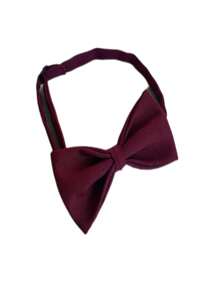 Men Bow Ties - Burgundy - View 2