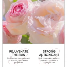 60 Piezas Mascarilla De Ojos De Galaxia De Rosa Para Hidratar, Humectar Y Reparar, Parche De Mascarilla De Ojos Para El Cuidado De La Piel - Rosa - Ver 6