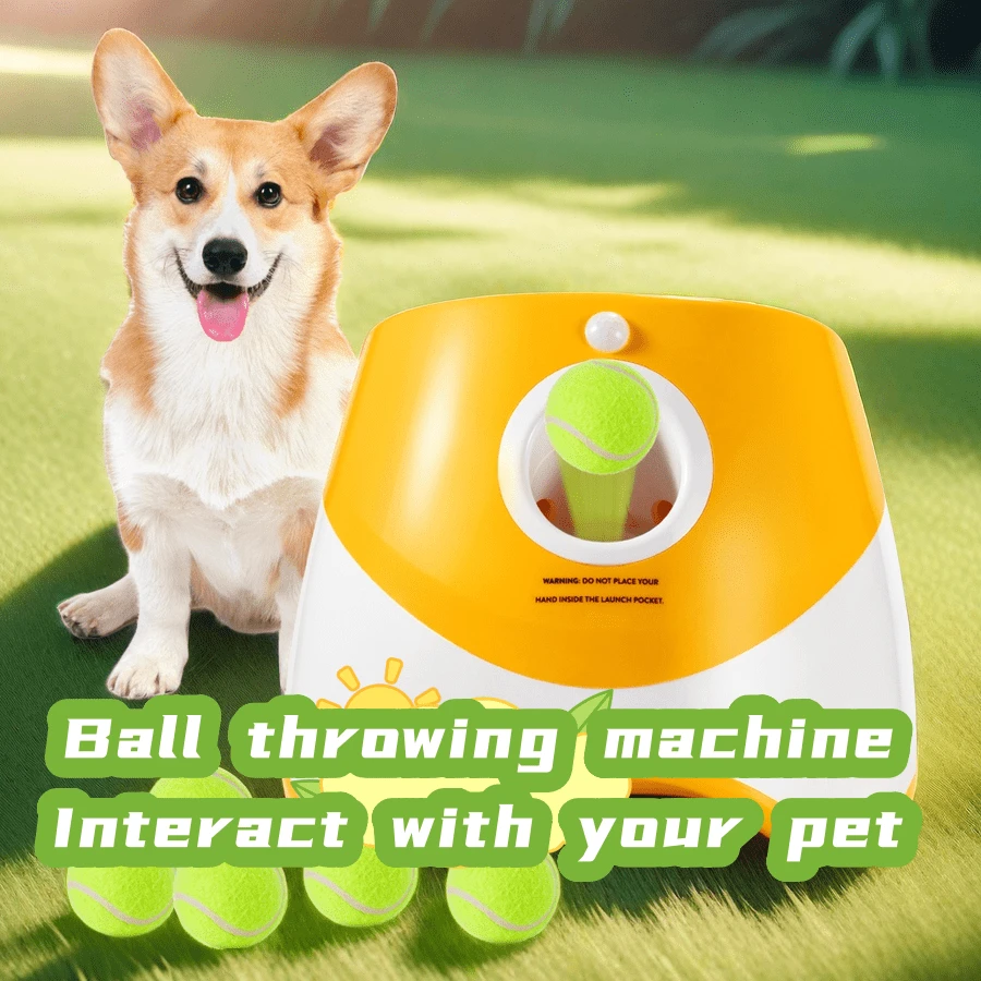 toyshine smart dog