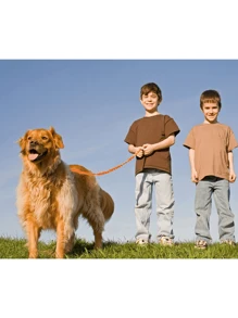 大型犬用狗鍊,重負荷狗鍊,狗用緩衝無拉力狗鍊,為中大型犬訓練用狗鍊6ft/4.5ft,2個有墊手柄 - 黑色 - 查看 6