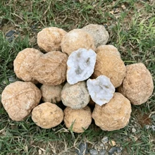 1入自然玛瑙水晶洞未開且粗糙水晶礦物能量治療石英原石晶簇鉴藏标本原石标本美麗的石頭水晶鉴赏擺設 - 未開晶洞 - 查看 9