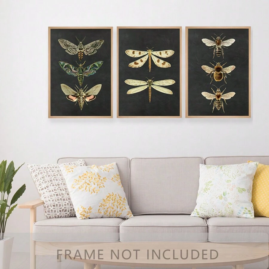 3pcs Frameless Abstract Moth Nature Insect Canvas Painting Vintage ...