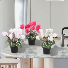 1入仙人掌玉,粉色,適合新年、春節、情人節、禮物、桌上裝飾、學校、宿舍、辦公室、戶外派對、節日、生日、家庭、旅館、餐廳、客廳、臥室、婚禮、廚房、花園裝飾 - 白色 - 查看 5