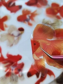 1包/30張寵物貼紙,帶金魚裝飾,適用於diy手作相簿 - 彩色 - 查看 3