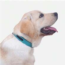 1 件可调节宠物项圈，带刻名牌，牵引绳和训练狗项圈，宠物用品 - 綠色 - 查看 5