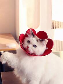 1 Miếng Hình hoa Vòng cổ , Thích hợp Đối với Mèo Và Chó nhỏ , Đối với Mèo Và Chó , Chống liếm , Chống cắn - Đỏ - Xem 3