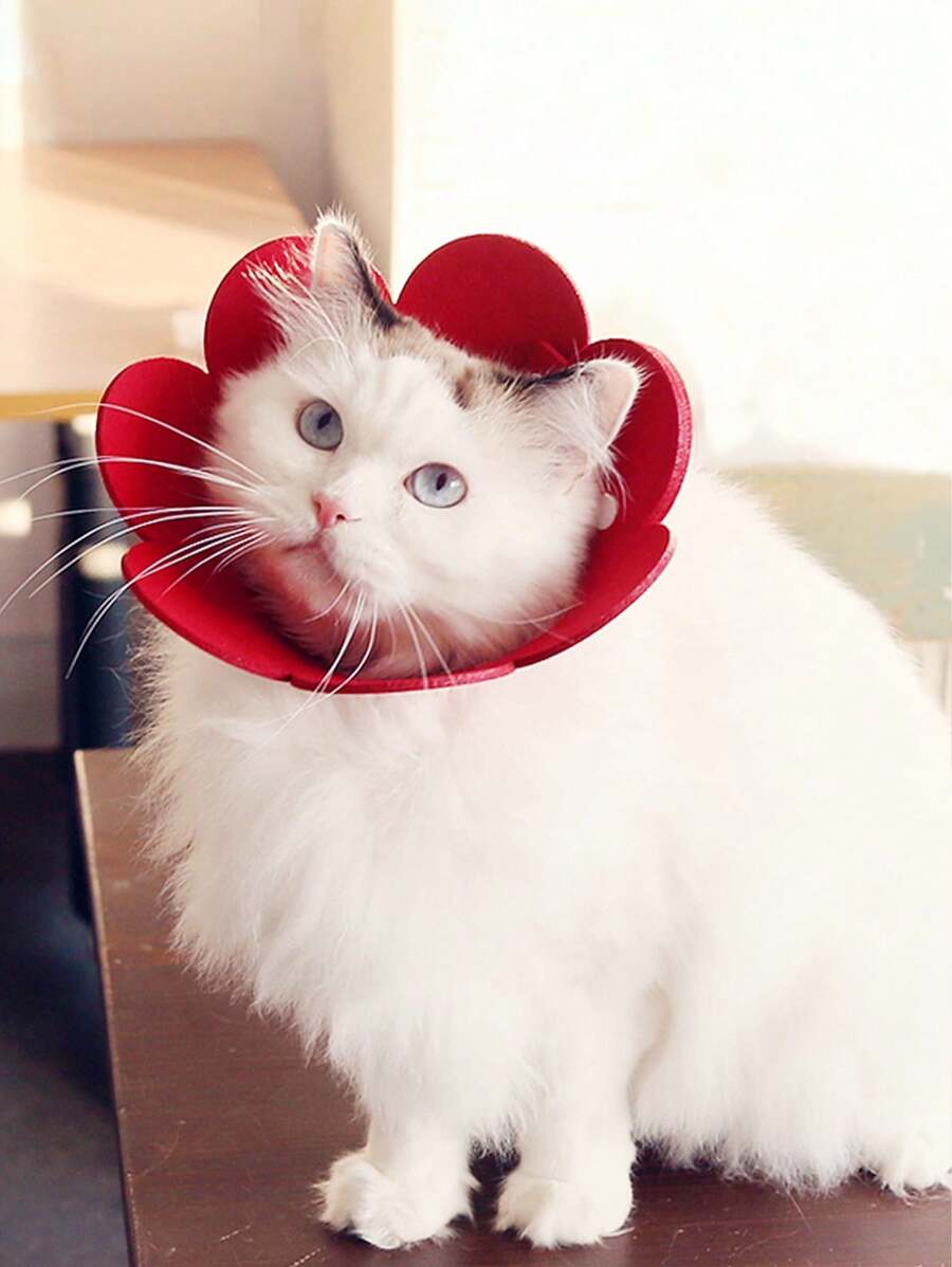 1 Miếng Hình hoa Vòng cổ , Thích hợp Đối với Mèo Và Chó nhỏ , Đối với Mèo Và Chó , Chống liếm , Chống cắn - Đỏ - Xem 1