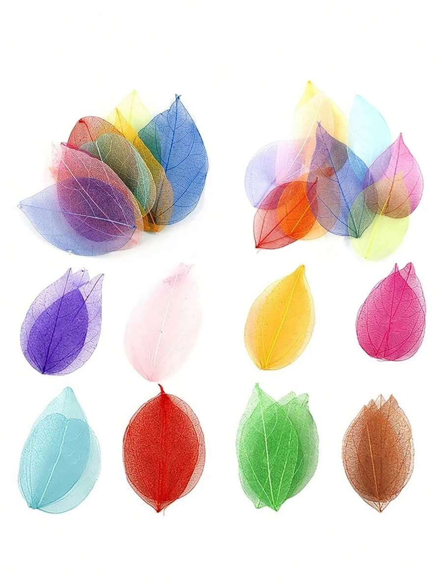 36入組diy乾花和葉子,用於製作壓花飾品,可使用膠水貼於手機殼上 - 彩色 - 查看 1