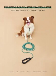 حبل تدريب الحيوانات الأليفة ، حبل مشي خفيف الوزن للمشي في الهواء الطلق ومنع الهروب