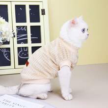 Roupas grossas cáqui de 2 pernas para cães pequenos como poodle, teddy e bichon frisé no outono/inverno