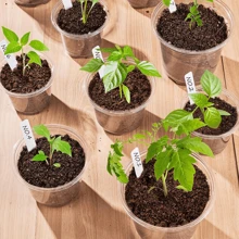 5 chậu ươm cây trong suốt, chậu cây 3,5 inch để trồng cây giống bằng nhựa có lỗ thoát nước, chậu ươm hạt giống hoa ngoài trời có độ trong suốt cao - 5 cái - Xem 2