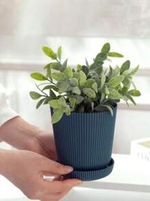 5 件装花盆，带排水孔和托盘的塑料花盆，适用于室内外花园、庭院、植物礼品容器和户外装饰 - 白色 - 查看 5