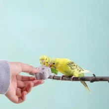 含鈣咀嚼點心玩具,配置磨石,適用於像鳳凰、牡丹、虎皮鸚鵡等鸚鵡科鳥類。隨機顏色 - 白色 - 查看 6