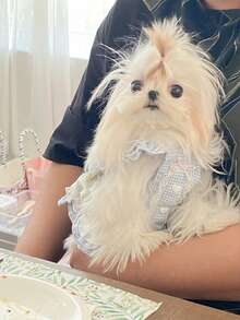 Custom Handmade Spring Dog Clothes, Cat Dress, For Yorkshire Terrier And Small Dogs - Blue - View 2