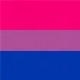 Bissexual