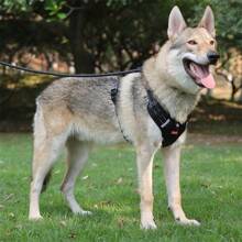 1pc Pet Dog Harness Reflective Adjustable Breathable Vest Chest Strap For Small Medium Large Dogs Cat Puppy Collar Dog Accessoires - Black - View 10
