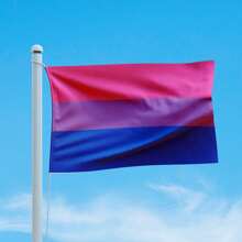 Bandeira Avulsa Orgulho LGBT Cores em Cetim Brilhante Tamanho Pequeno 55cm x 35cm - Parada Gay Desfile Pride Colorida Gêneros Arco Íris LGBTQIAP+