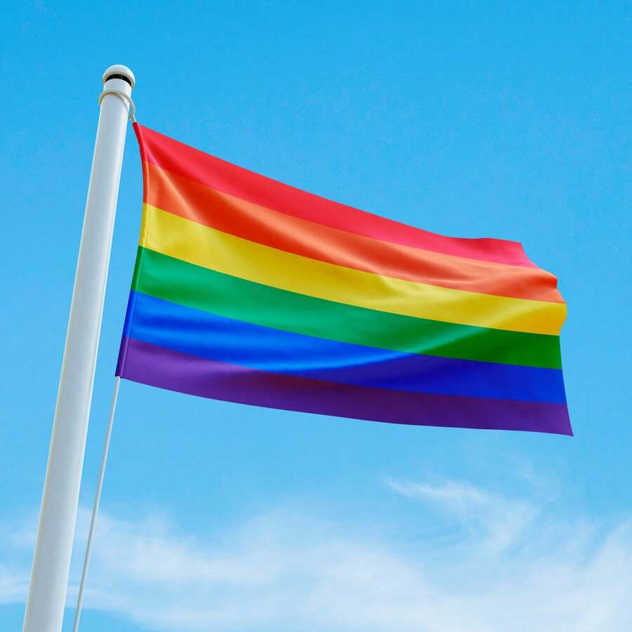 Flags - LGBTQ - View 1