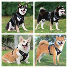1pc Pet Dog Harness Reflective Adjustable Breathable Vest Chest Strap For Small Medium Large Dogs Cat Puppy Collar Dog Accessoires - Black - View 9