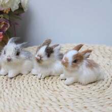 1 Pieza Figurita De Conejo En Miniatura Hecho A Mano De Alta Calidad, Regalo Realista De Decoración Animal Para Casa, Oficina, Automóvil, Tienda, Dormitorio, Sala De Estar Para Ser Mostrado En 4 Colores Disponibles