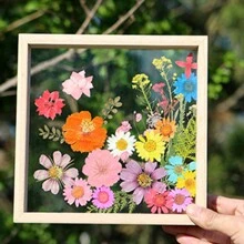 1 件壓花相框 Diy 手工乾燥植物標本展示透明壓克力裝飾畫框 - 原木色 - 查看 9