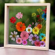 1 件壓花相框 Diy 手工乾燥植物標本展示透明壓克力裝飾畫框 - 原木色 - 查看 8